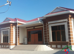 Daşyndan kraskalanan jay